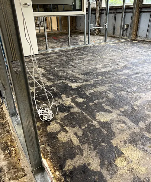 Mastic Removal in Lynnwood 
